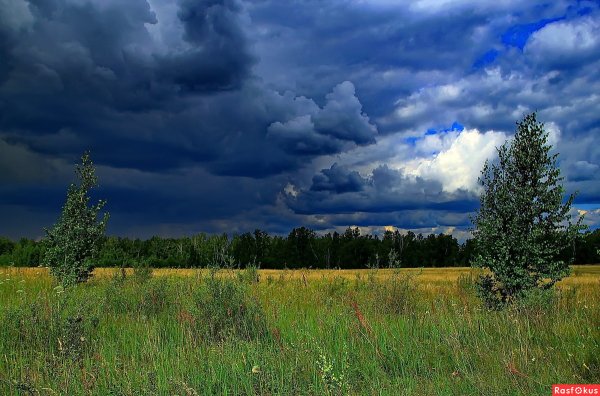 Деревня лето гроза