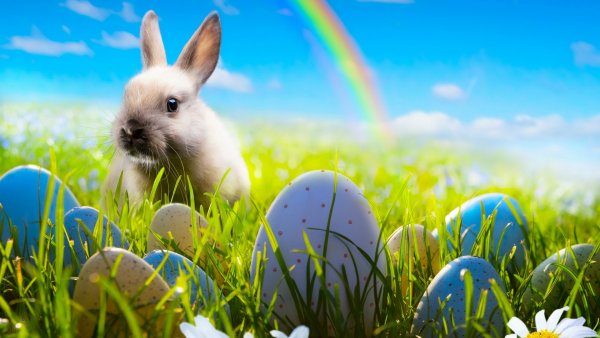 Праздник "Пасха"