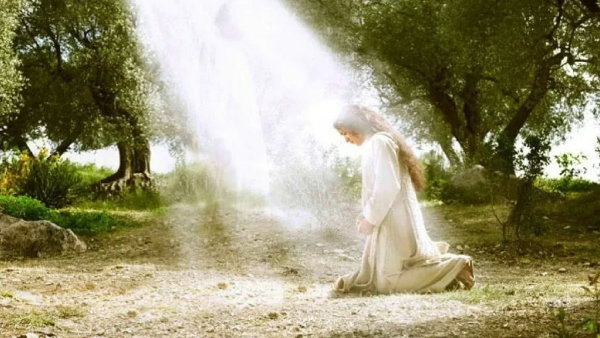 Прощение на коленях