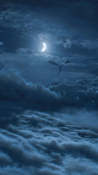 Ангелочки в ночном небе