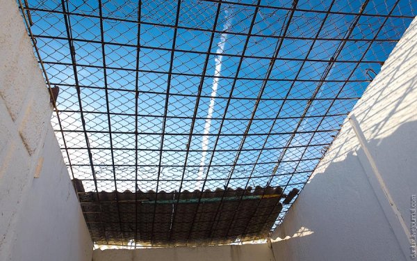 Небо в клетку