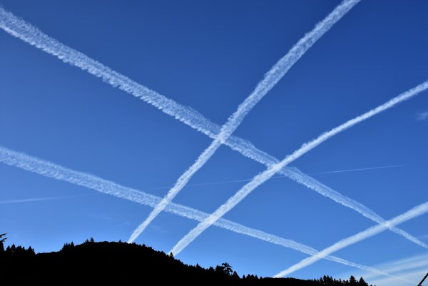 Небо в клеточку химтрейлы