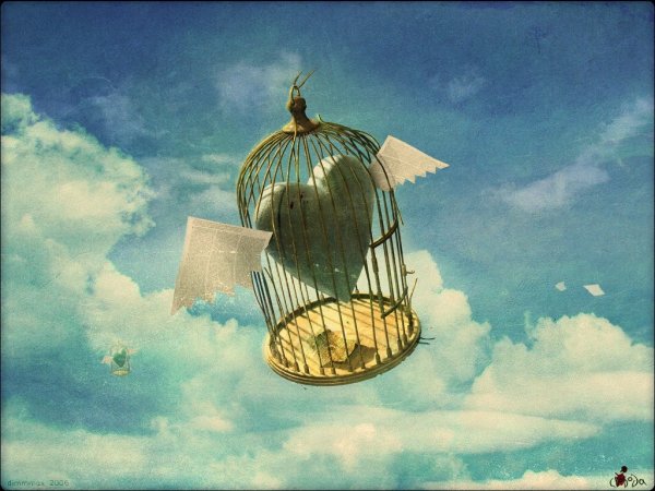 Жаккардовый узор для детского пледа