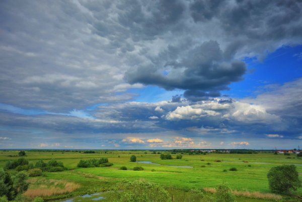 Фото родного края