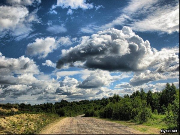 Небо Кучевые облака снизу