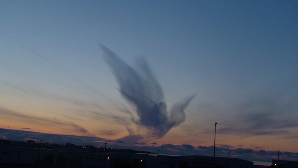 Кучево дождевые вымеобразные