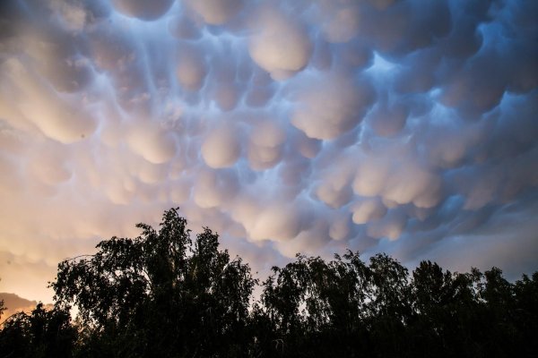 Кучево дождевые вымеобразные