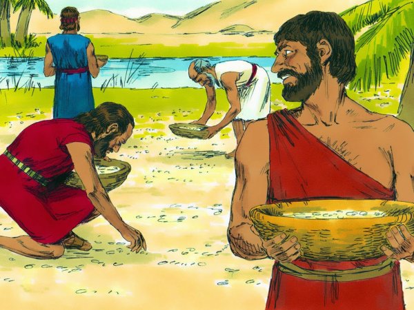 Моисей и Манна Небесная