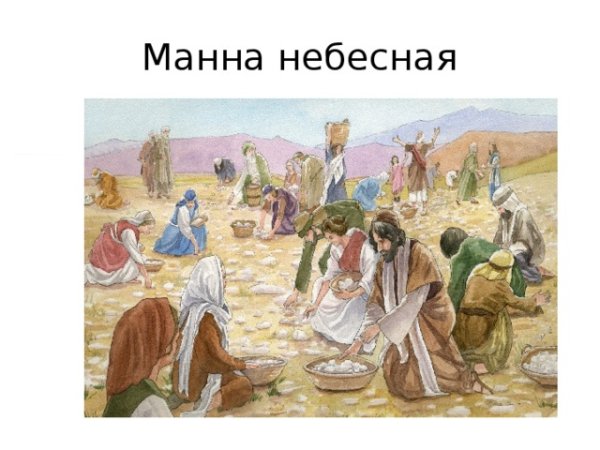 Манна Небесная картина