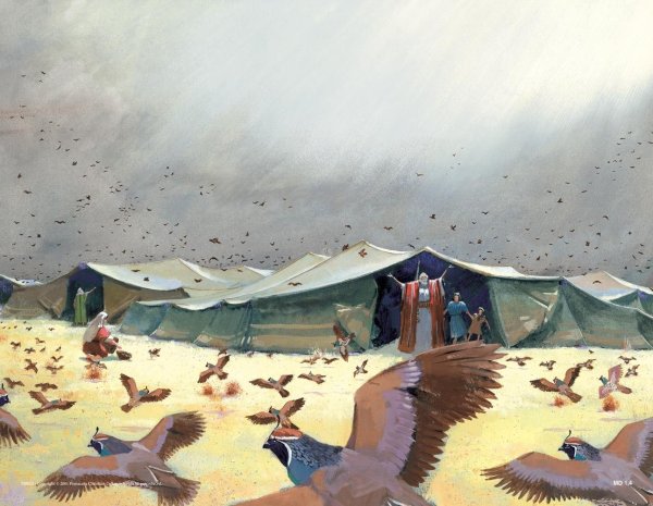 Манна Небесная