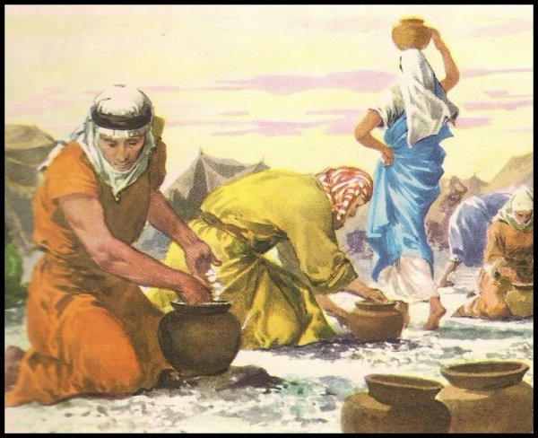 Манна Салва