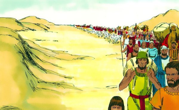 Небесная Манна Меринов