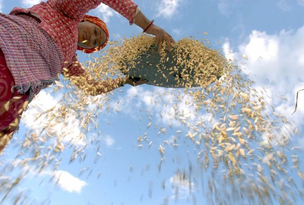 Народы манны