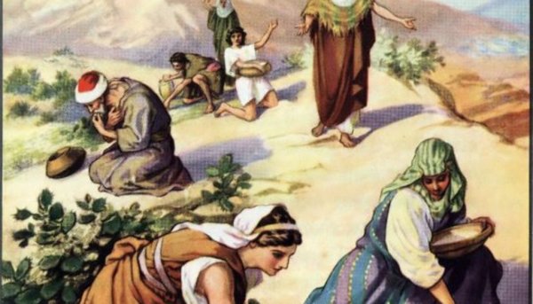 Моисей и Манна Небесная