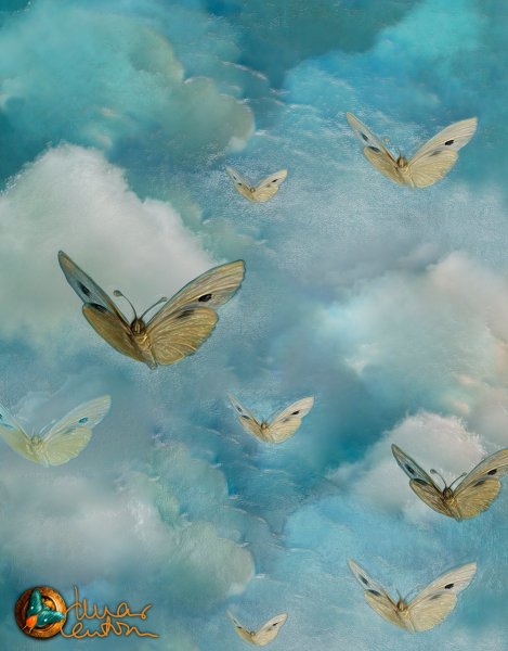 Много бабочек в небе