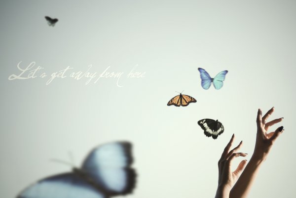 Бабочка улетает