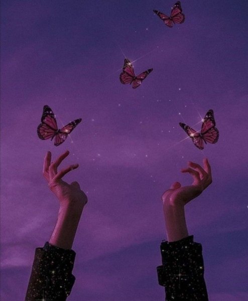 Фиолетовые бабочки Эстетика