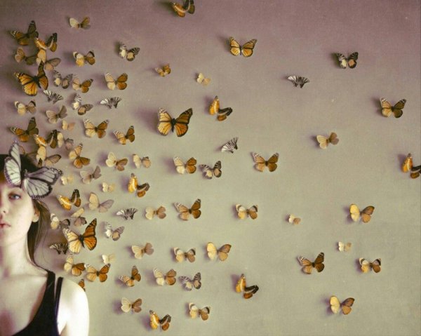 Голубая Артынская бабочка