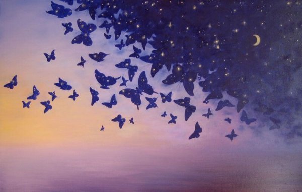 Бабочки ночью