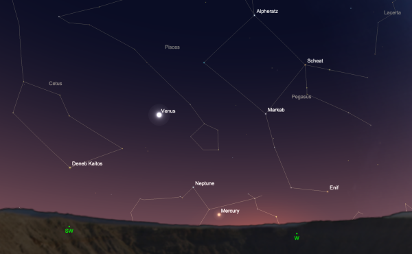 Венера на Звездном небе