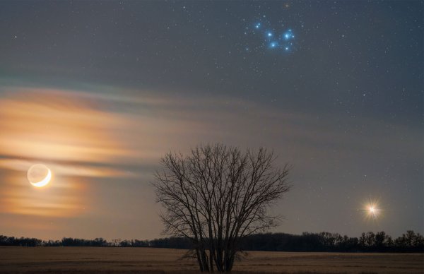 Планета Венера Утренняя звезда