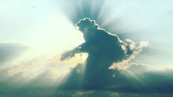 Дети на небесах