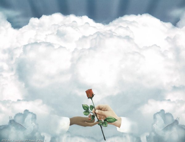 Браки совершаются на небесах