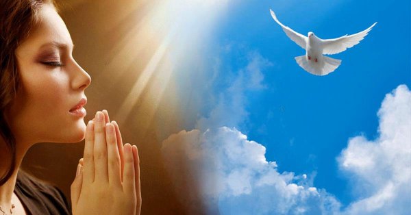 Молится в небо