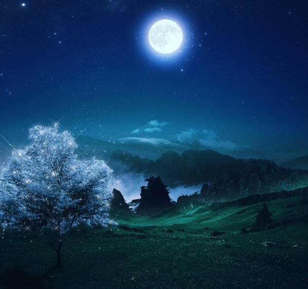 Лунная ночь