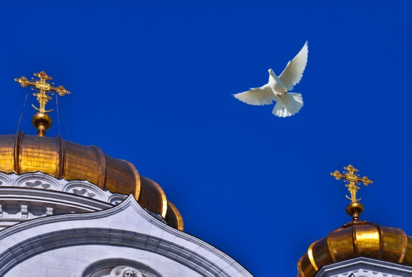 Голуби над куполами