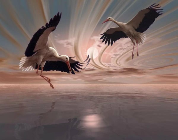 Журавль в небе