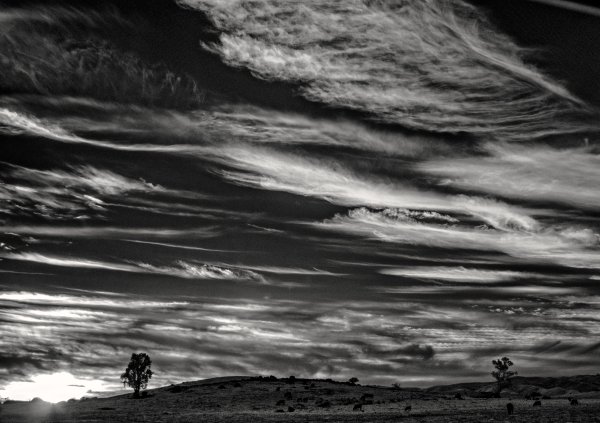 Темный Горизонт