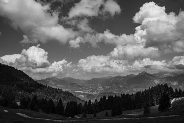 Чёрно белое небо