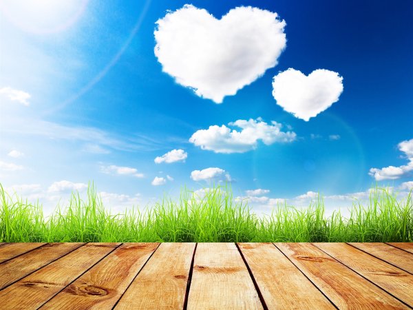 Зеленое поле