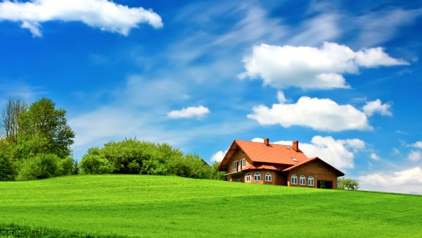 Панорама леса