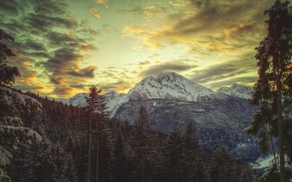 Лес снег горы пасмурно