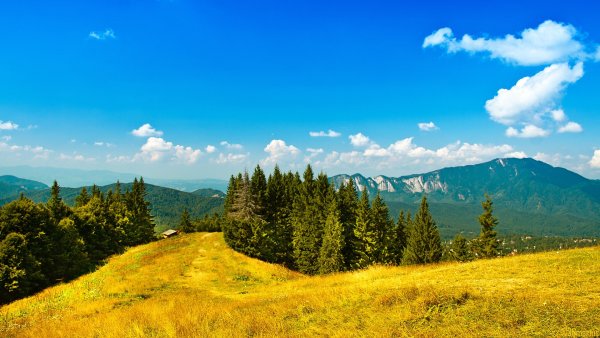 Горный хребет Апусени, Румыния