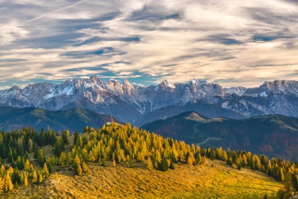 Природа горы лес