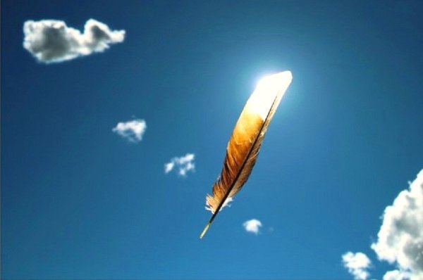 Перья в полете