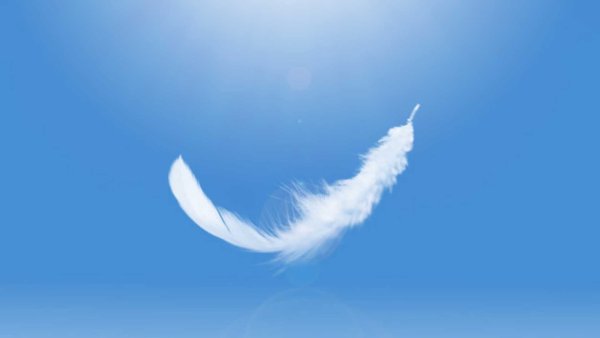 Перо в воздухе