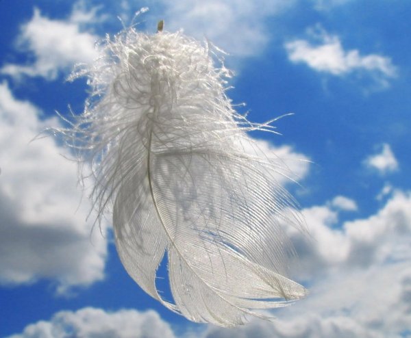 Ангельские перья