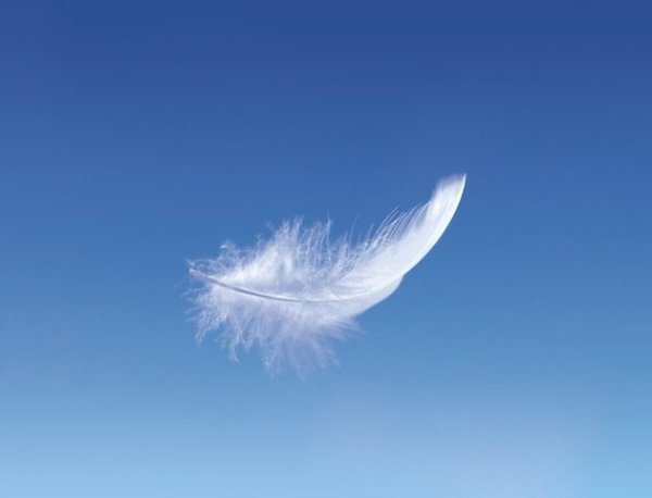 Перо в воздухе