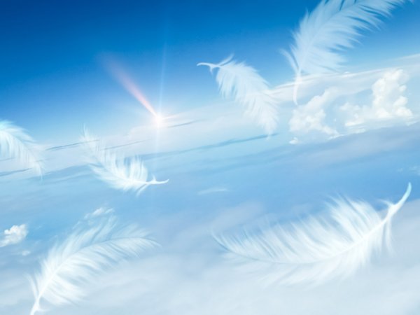 Перо в небе