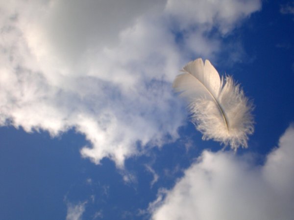 Перышко в воздухе