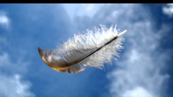 Форест Гамп перышко