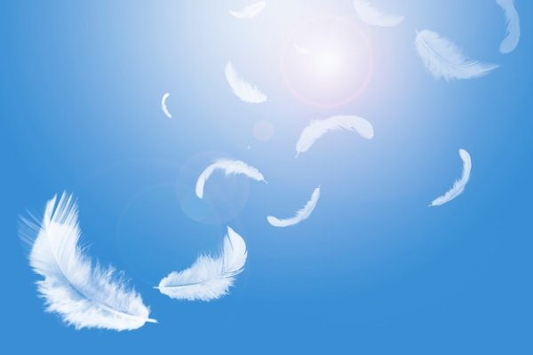 Падающие белые перья