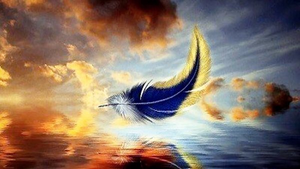 Перо птицы счастья