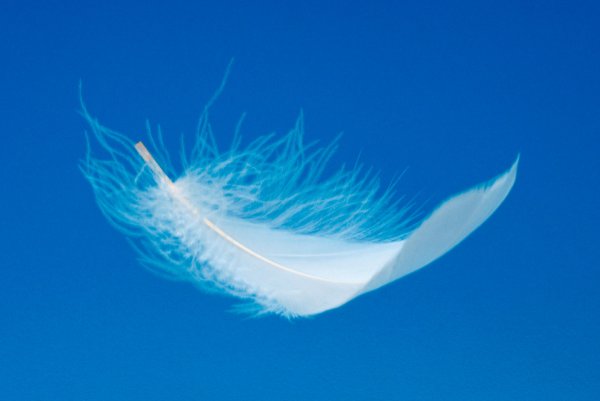 Перо ангела