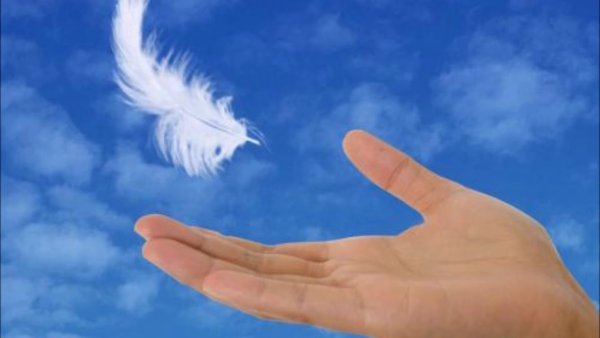 Перо на ладони