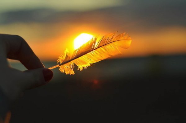 Перо солнце